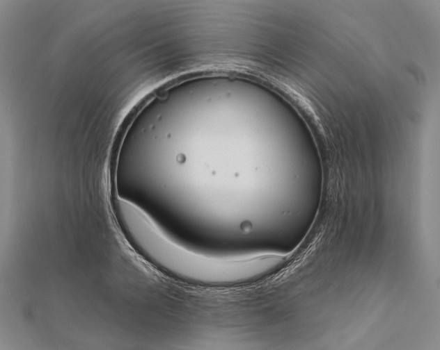 X0000111850936200908061311