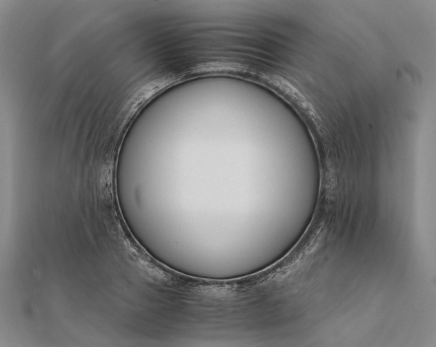 X0000111850937200908061311