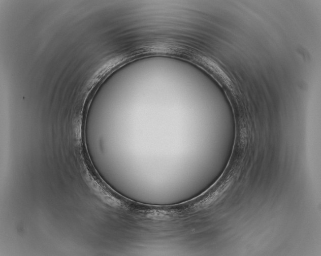 X0000111850938200908061311