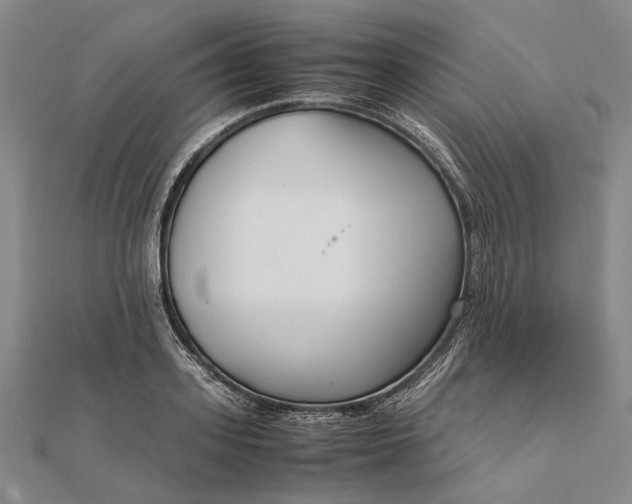 X0000111850939200908061311