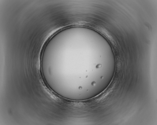 X0000111850940200908061311