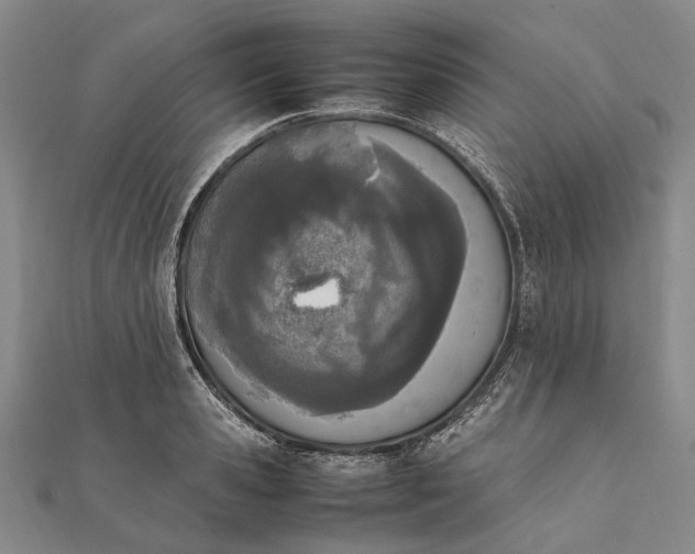 X0000111850941200908061311