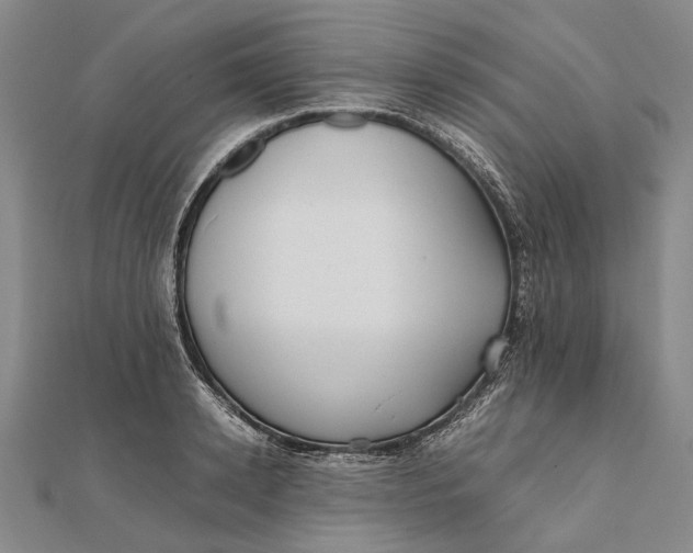 X0000111850942200908061311