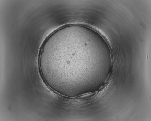 X0000111850943200908061311