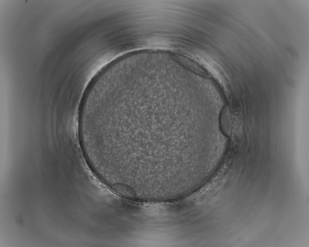 X0000111850944200908061311