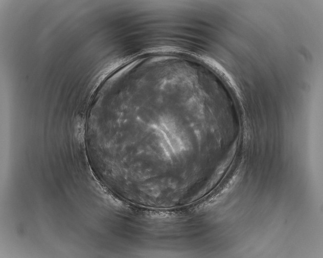 X0000111850945200908061311