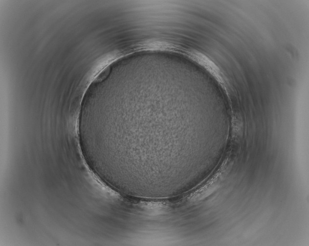 X0000111850946200908061311