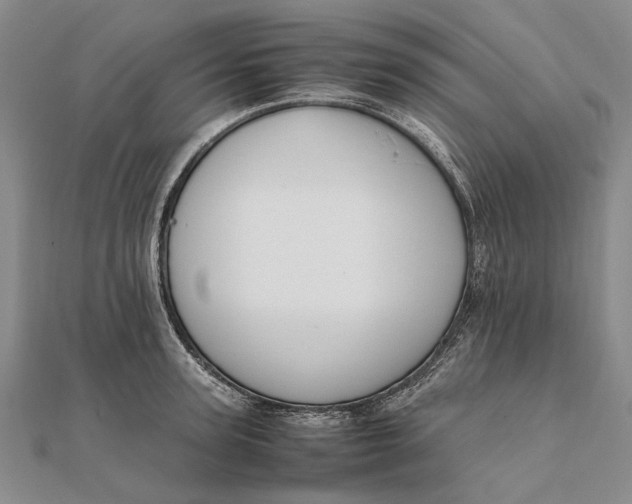 X0000111850947200908061311