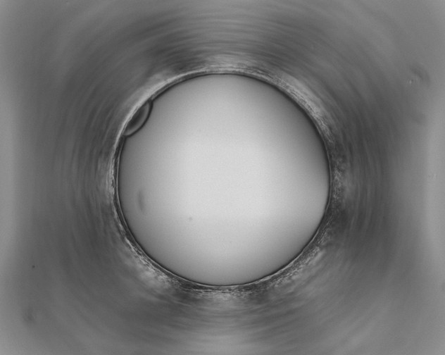 X0000111850948200908061311