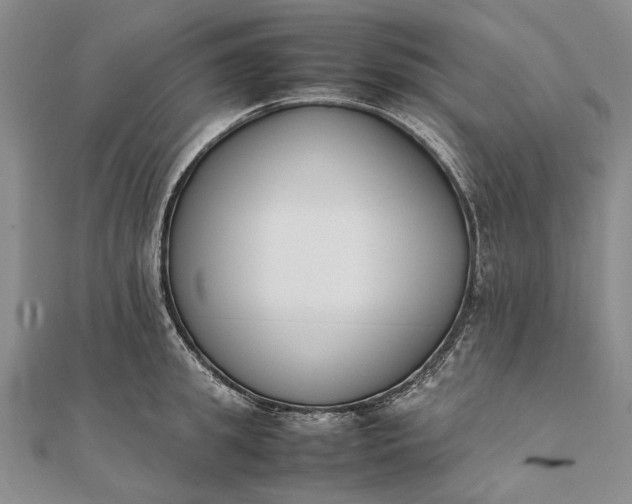 X0000111850949200908061311