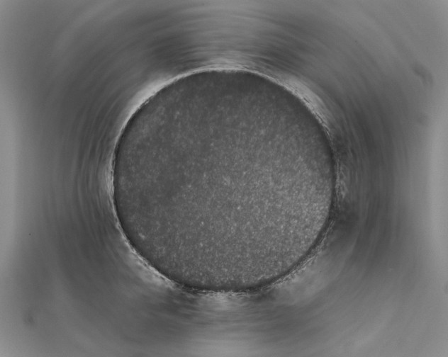 X0000111850950200908061311