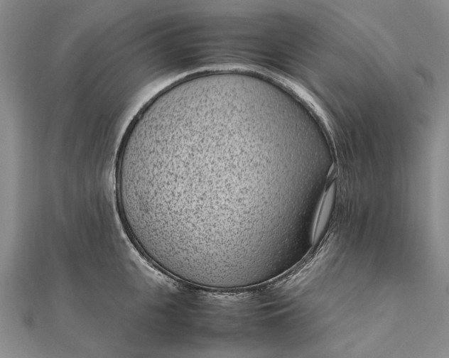 X0000111850951200908061311