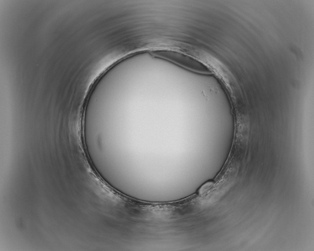 X0000111850952200908061311