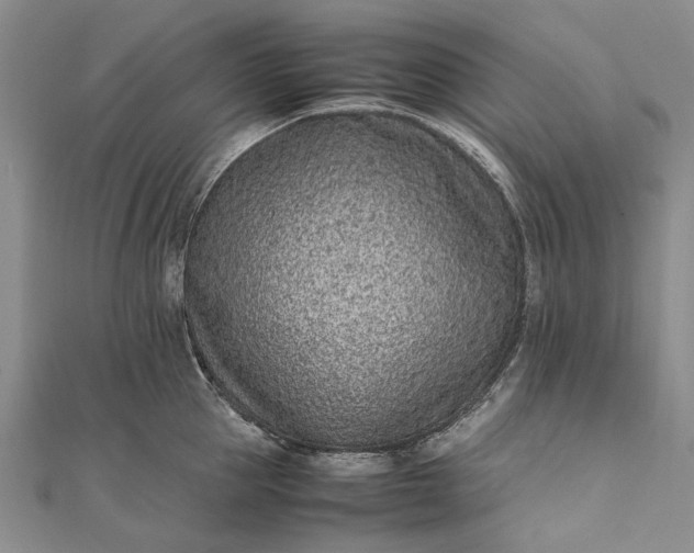 X0000111850953200908061311