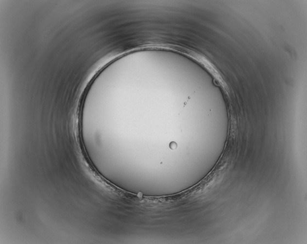 X0000111850955200908061311