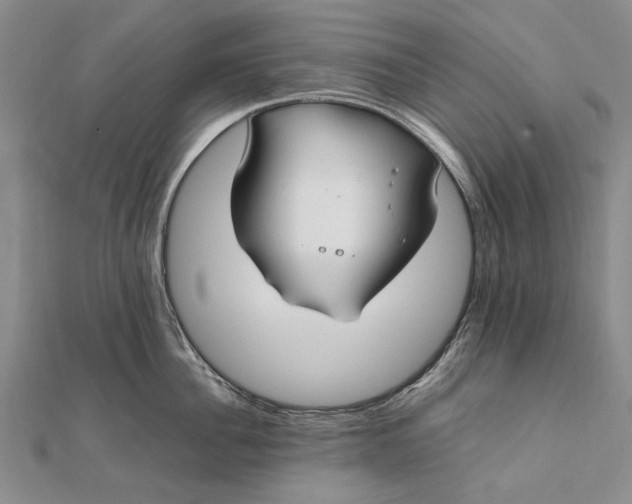 X0000111850956200908061311