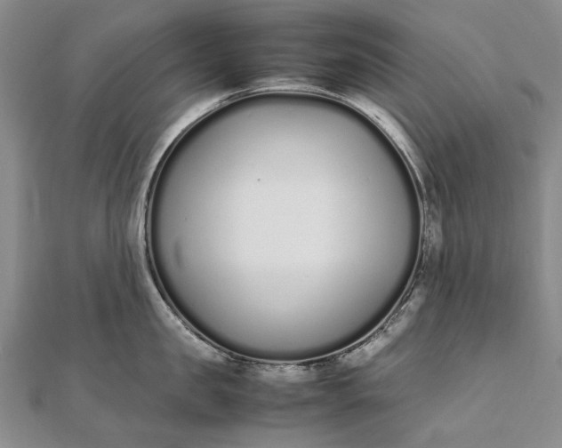 X0000111850957200908061311