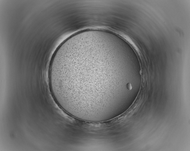 X0000111850959200908061312