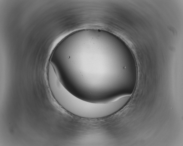 X0000111850960200908061312