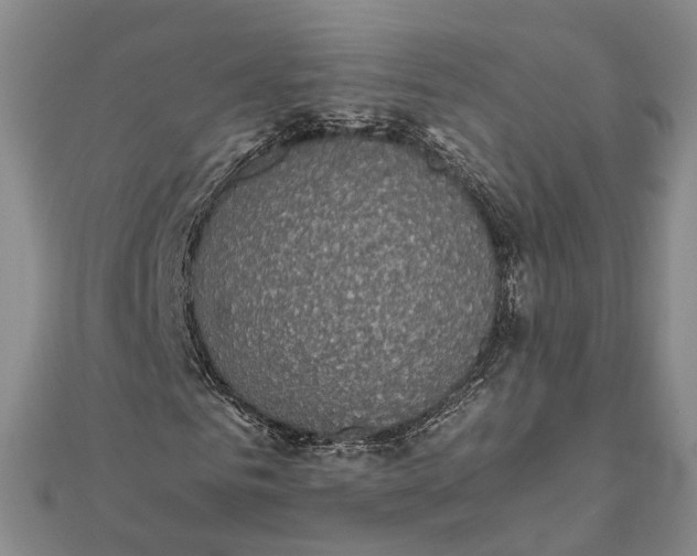 X0000111850961200908061311