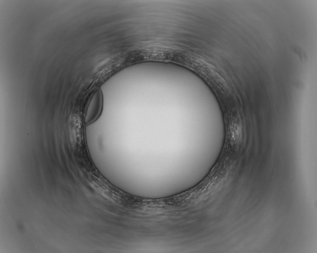 X0000111850964200908061311