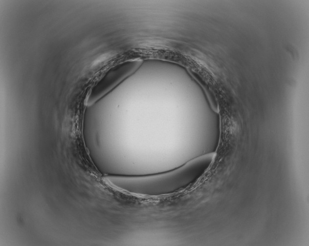 X0000111850965200908061311