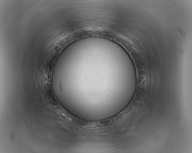 X0000111850966200908061311