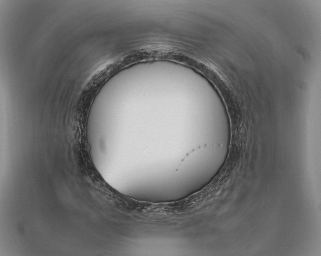 X0000111850967200908061311