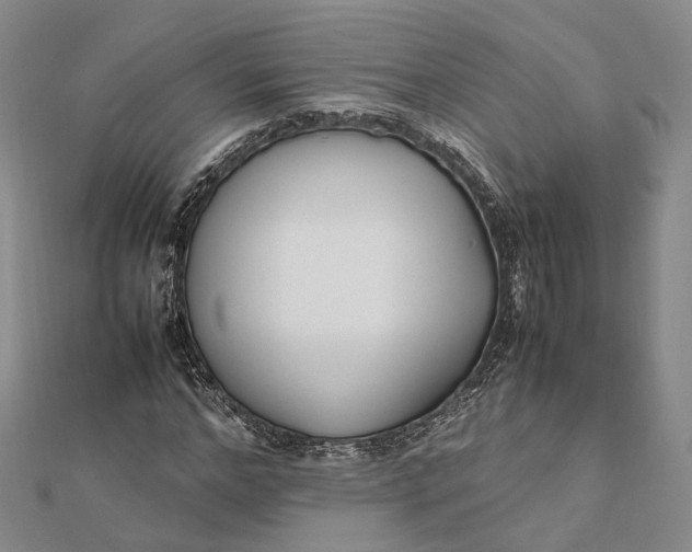 X0000111850968200908061311