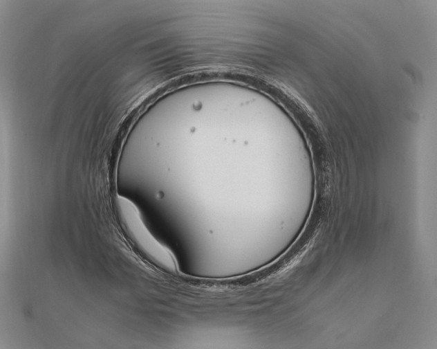 X0000111850969200908061311