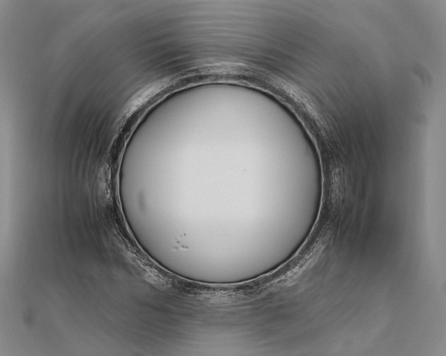 X0000111850970200908061311