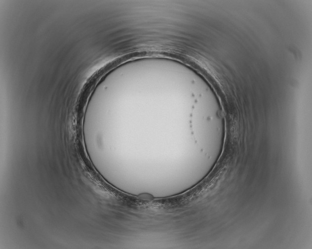 X0000111850971200908061311