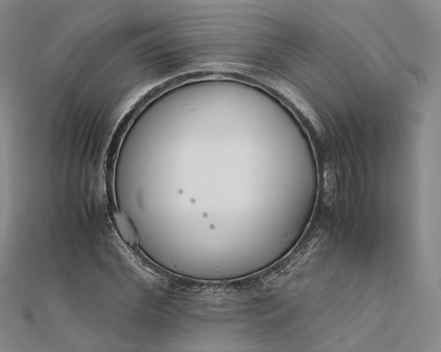 X0000111850972200908061311