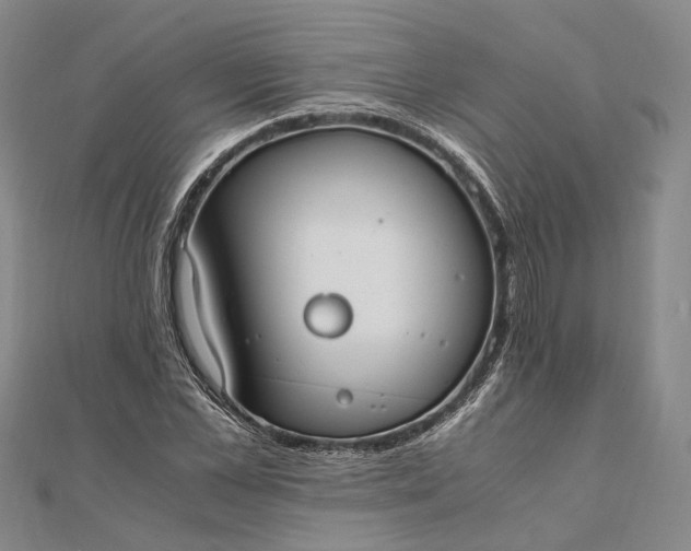 X0000111850973200908061311