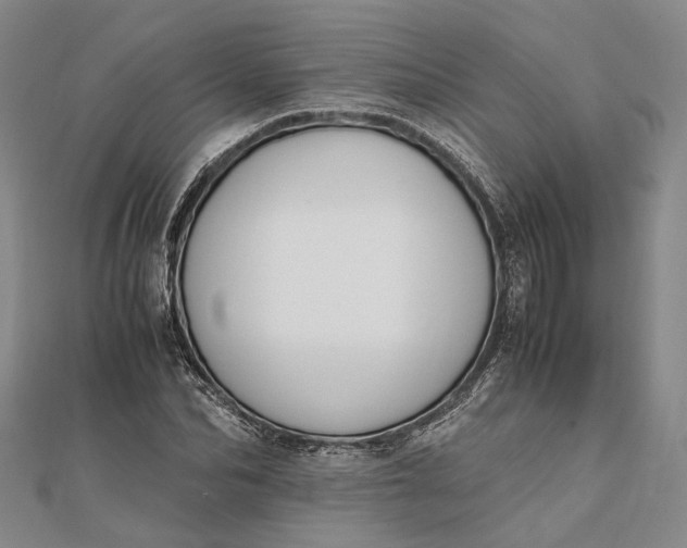 X0000111850974200908061311