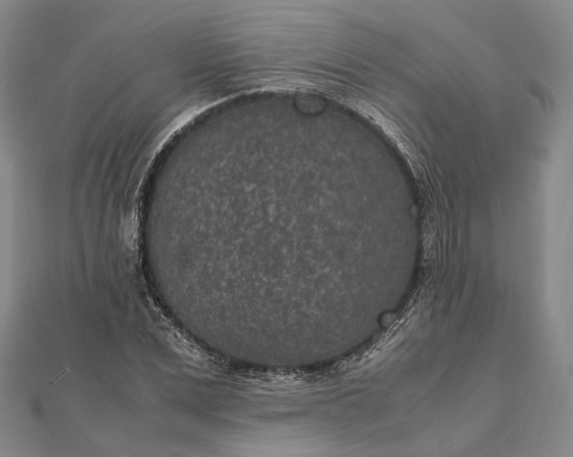 X0000111850975200908061311