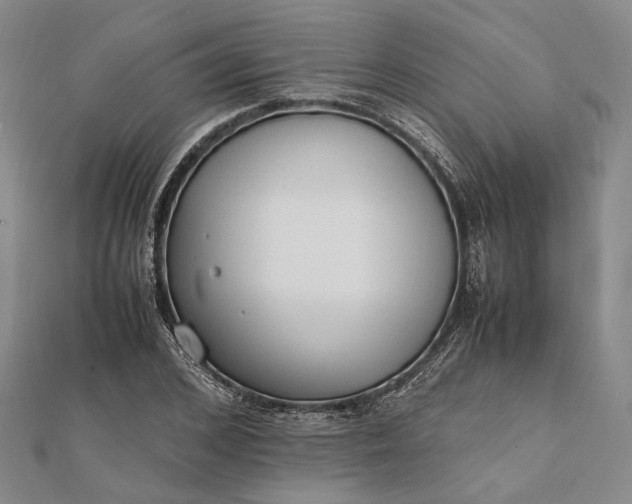 X0000111850976200908061311