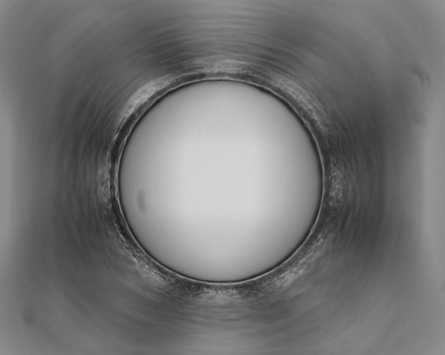 X0000111850978200908061311