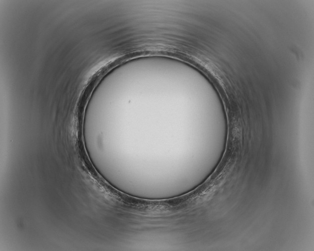 X0000111850979200908061311