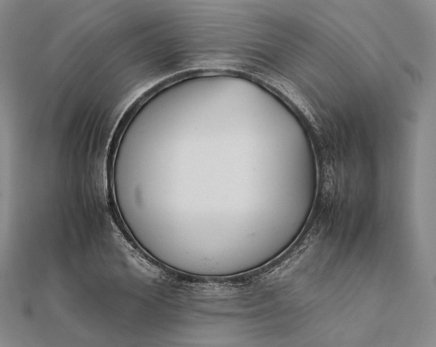 X0000111850980200908061311