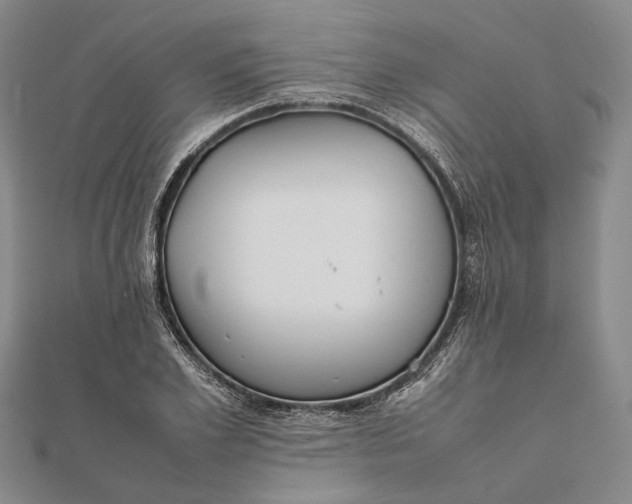 X0000111850981200908061311