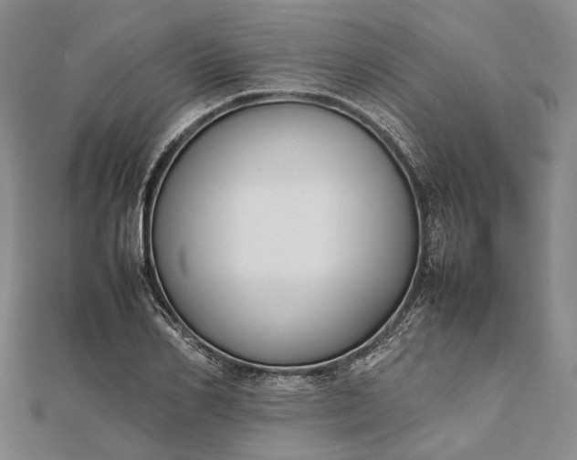 X0000111850982200908061311