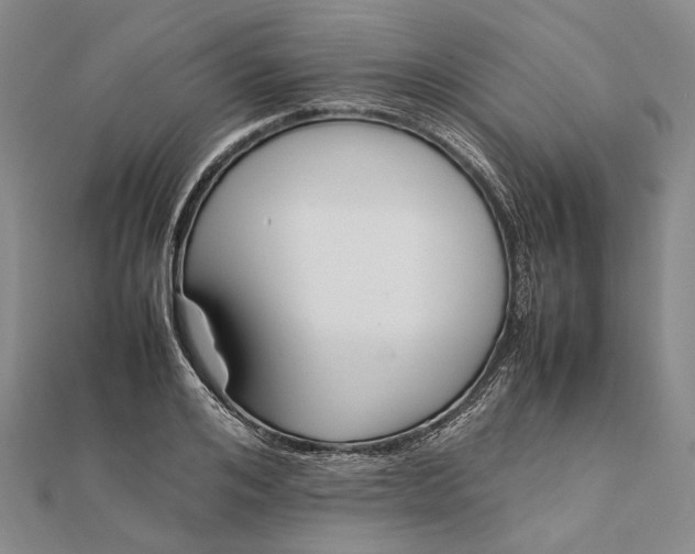 X0000111850984200908061311