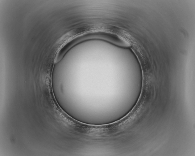 X0000111850985200908061311