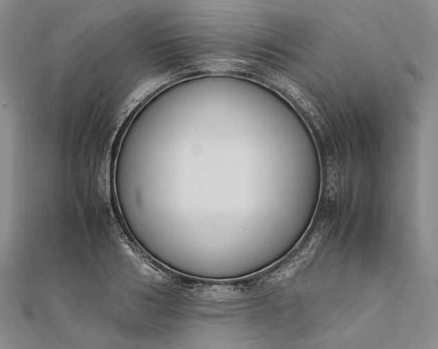 X0000111850986200908061311