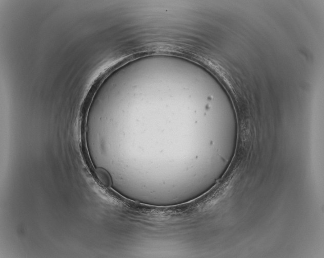 X0000111850987200908061311