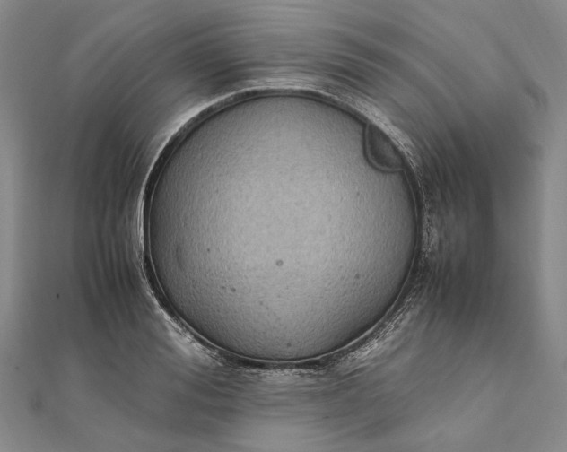 X0000111850988200908061311