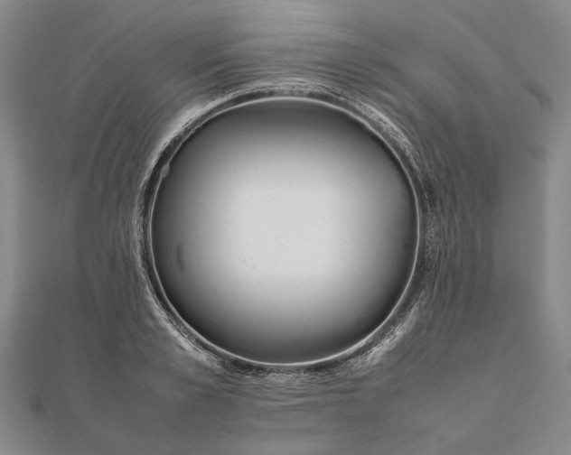 X0000111850989200908061311