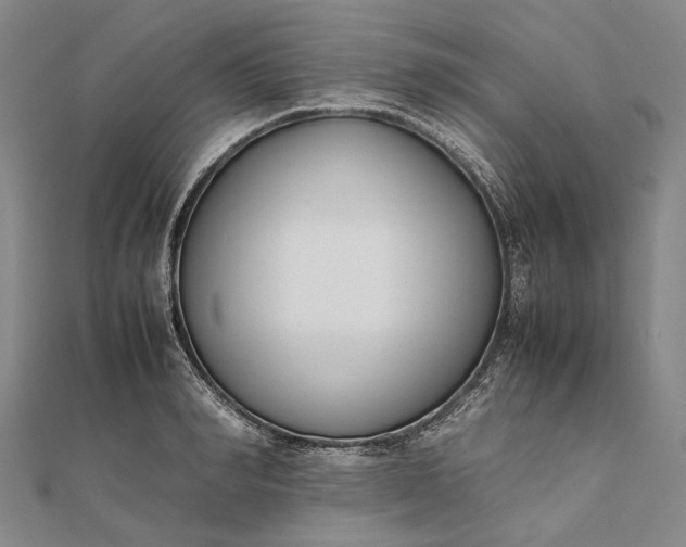 X0000111850990200908061311