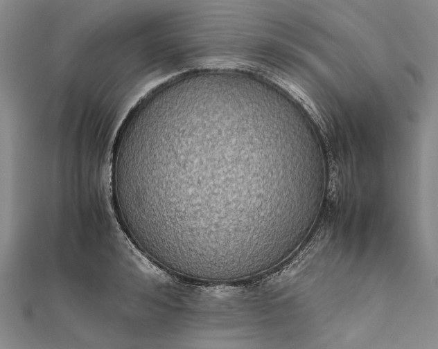 X0000111850992200908061310